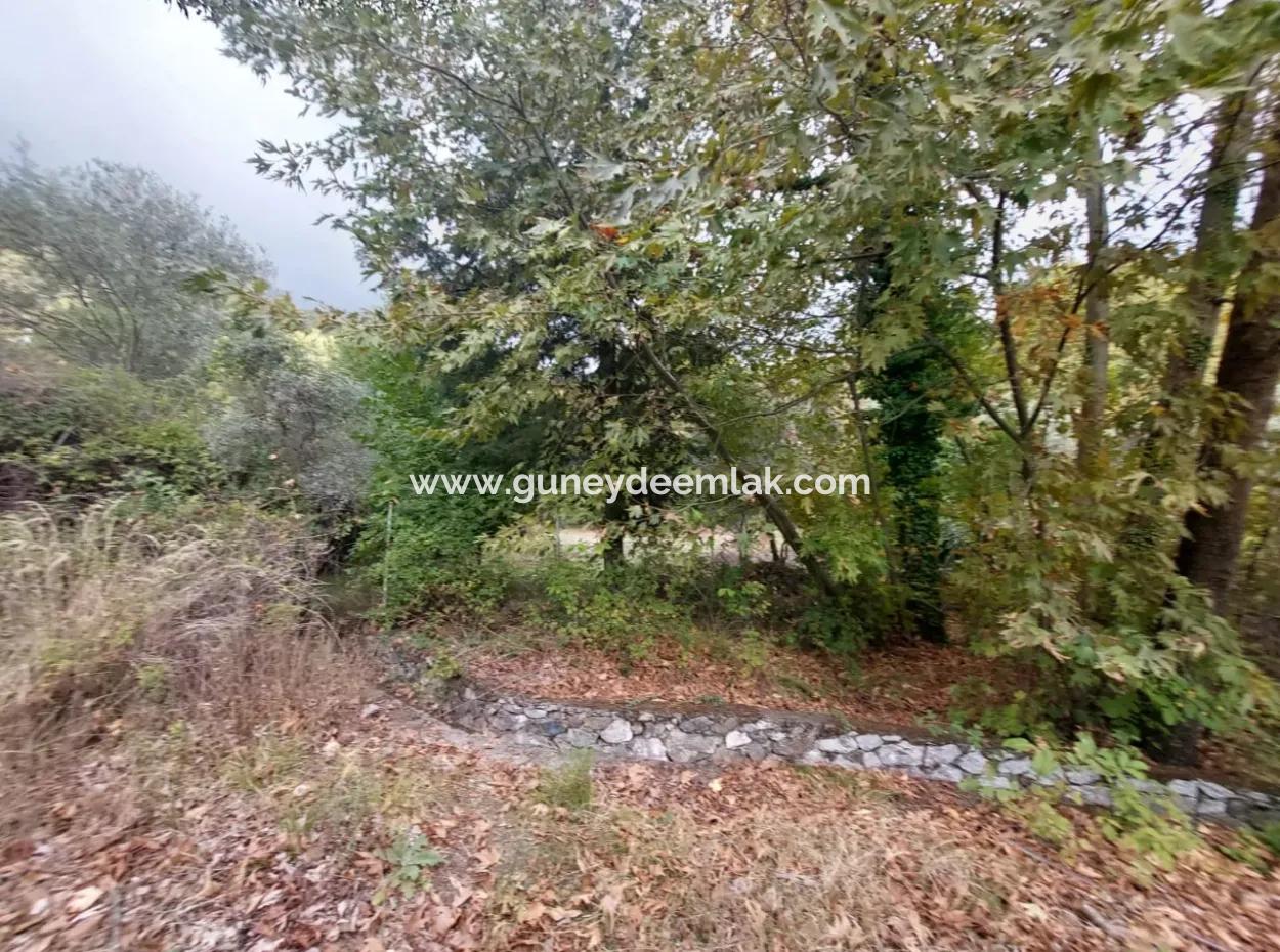 Detached 260 M2 Zoned Land For Sale In The Center Of Köyceğiz Plateau