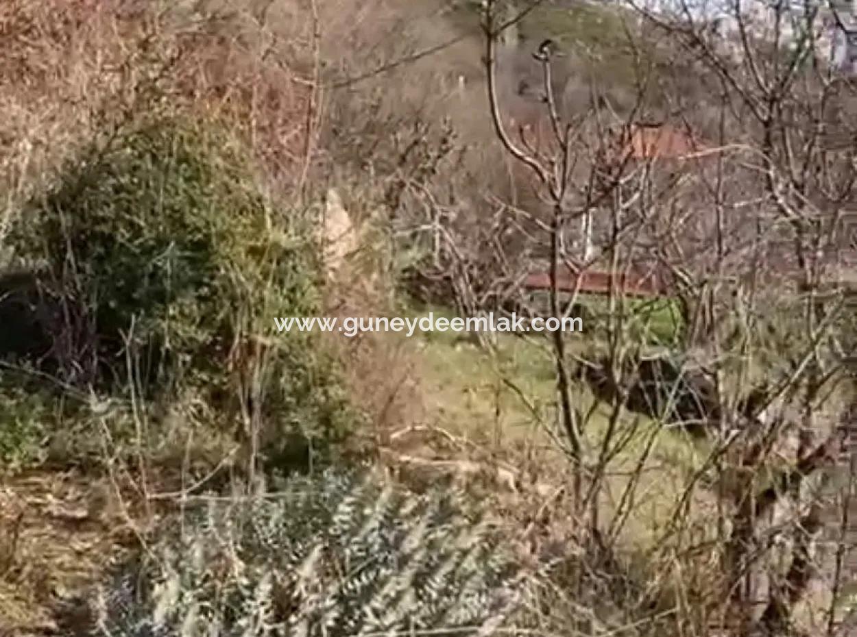 406 M2 Land With 200 M2 Residential Zoning In Muğla Menteşe Zeytinköy For Sale