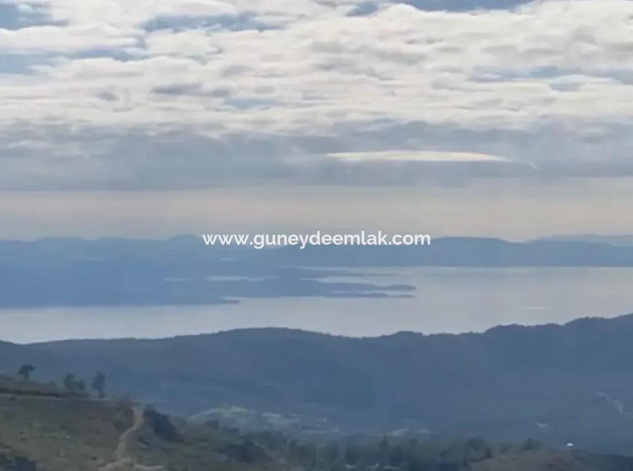 406 M2 Land With 200 M2 Residential Zoning In Muğla Menteşe Zeytinköy For Sale