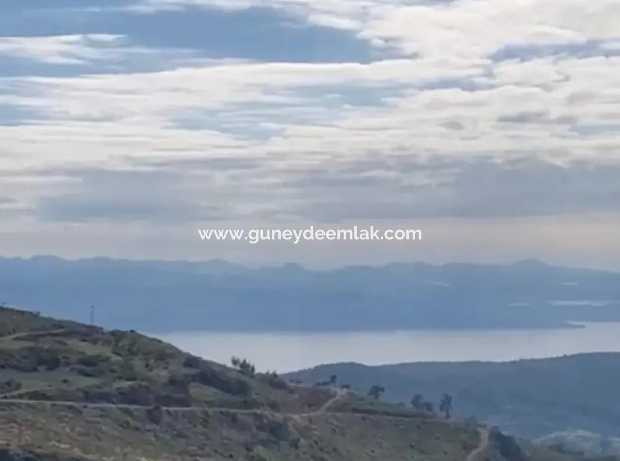 406 M2 Land With 200 M2 Residential Zoning In Muğla Menteşe Zeytinköy For Sale