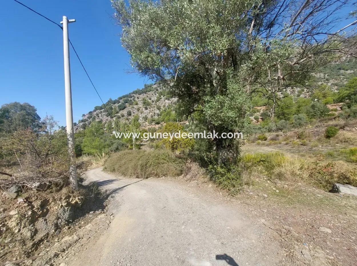 400 M2 Land Close To The Lake In Ortaca Gökbel Is For Sale
