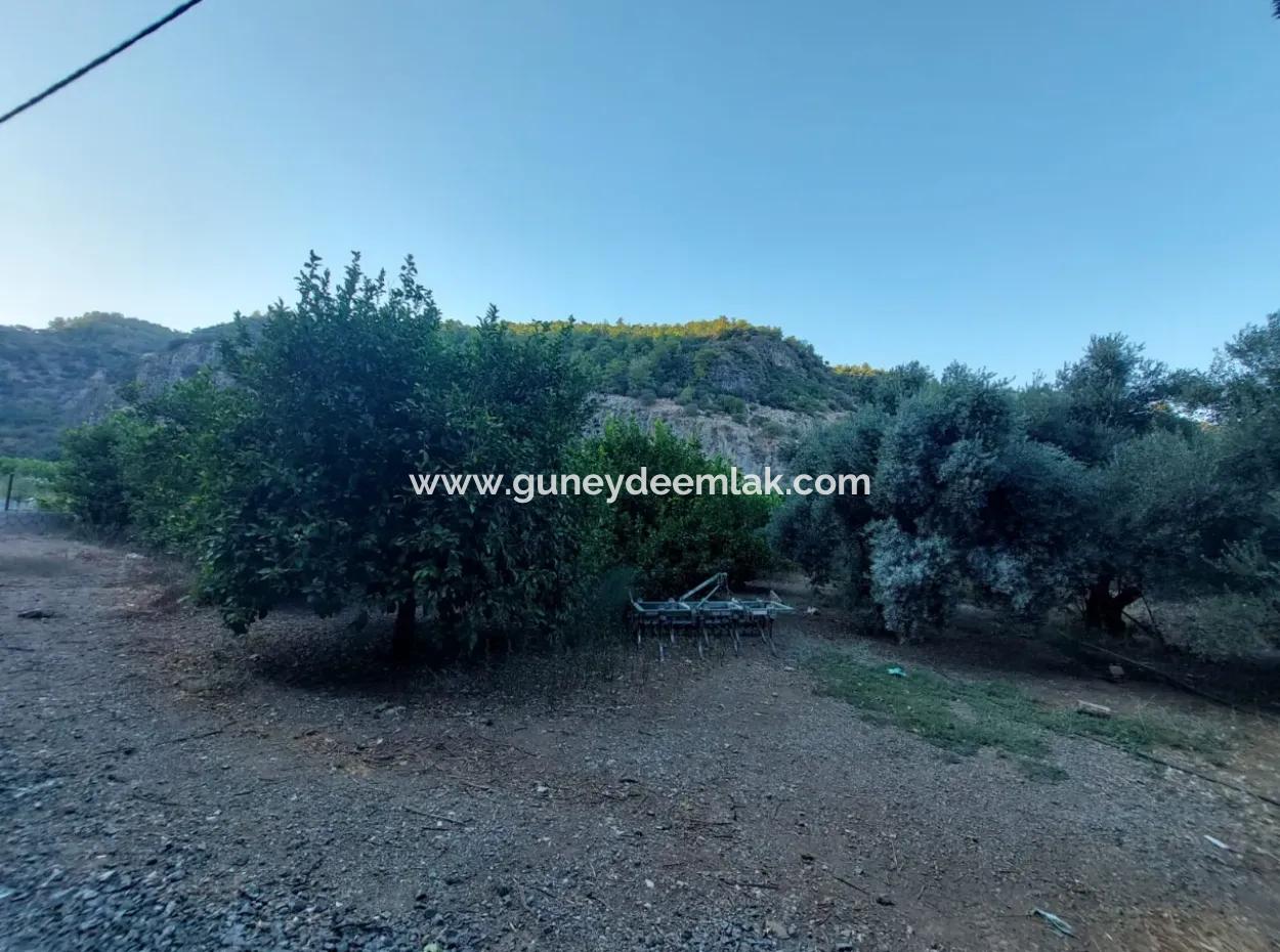 1.300 M2 Detached 250M2 Residential Zoned Land For Sale In Muğla, Ortaca, Karadonlar