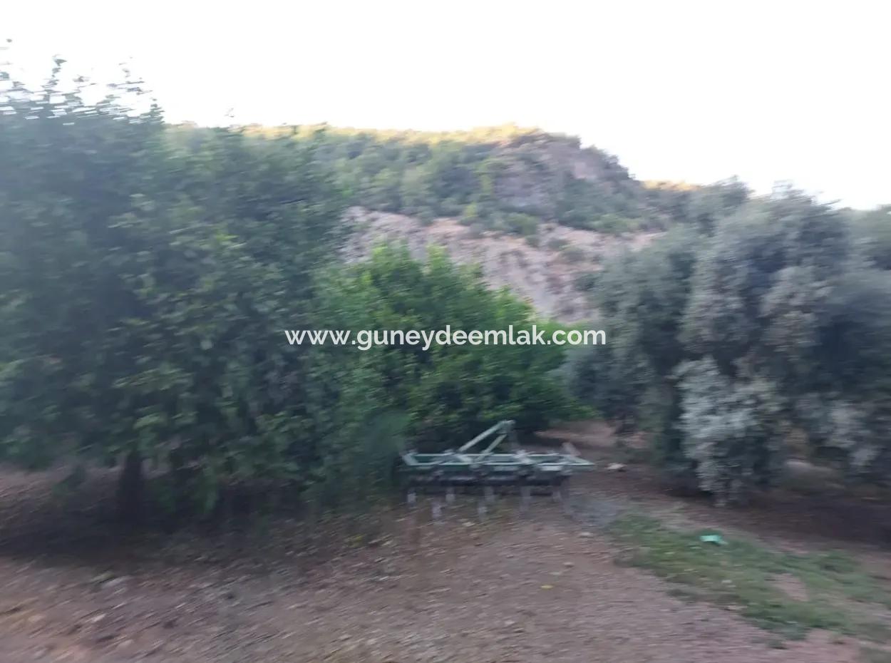 1.300 M2 Detached 250M2 Residential Zoned Land For Sale In Muğla, Ortaca, Karadonlar