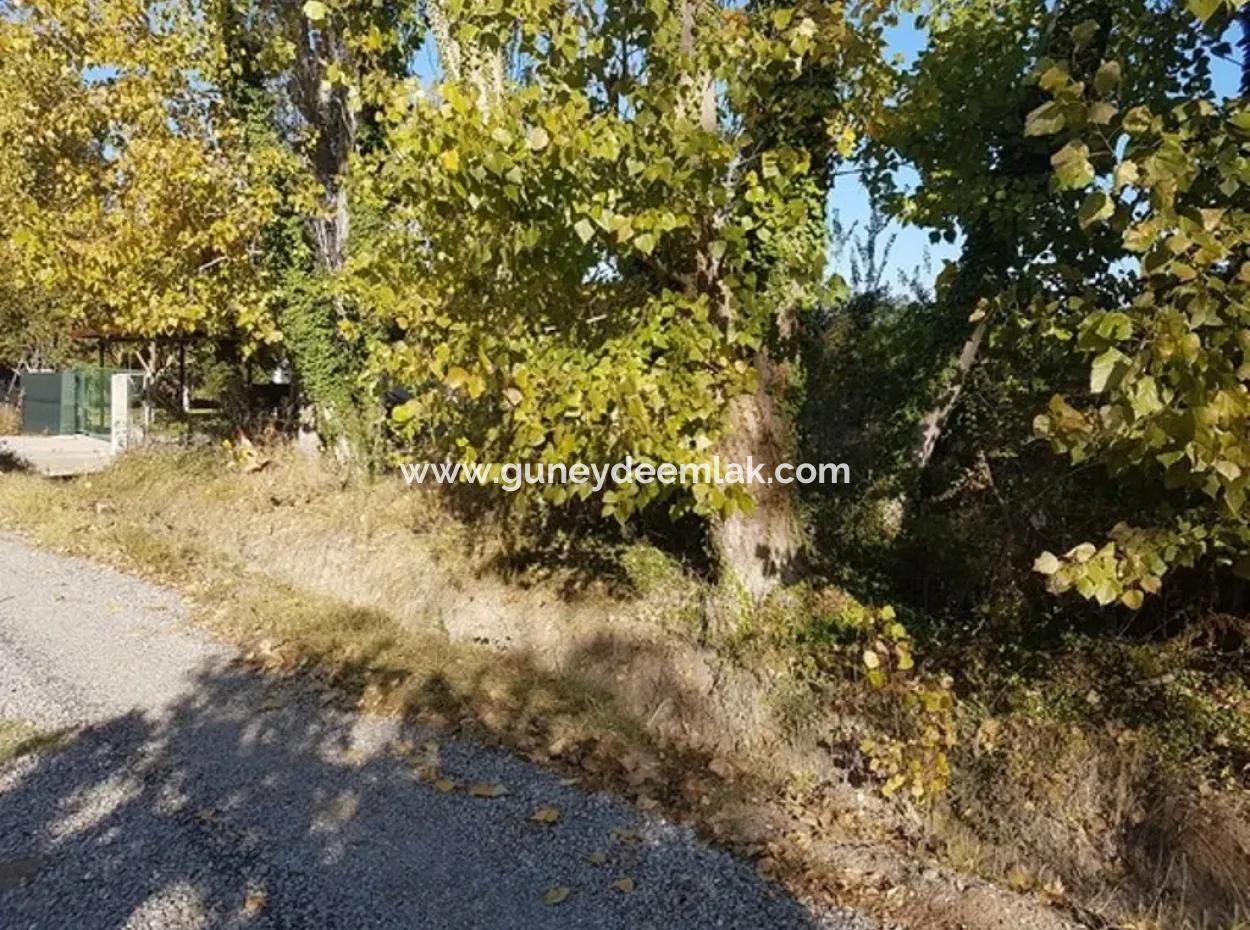 Bargain Plot For Sale In Archer