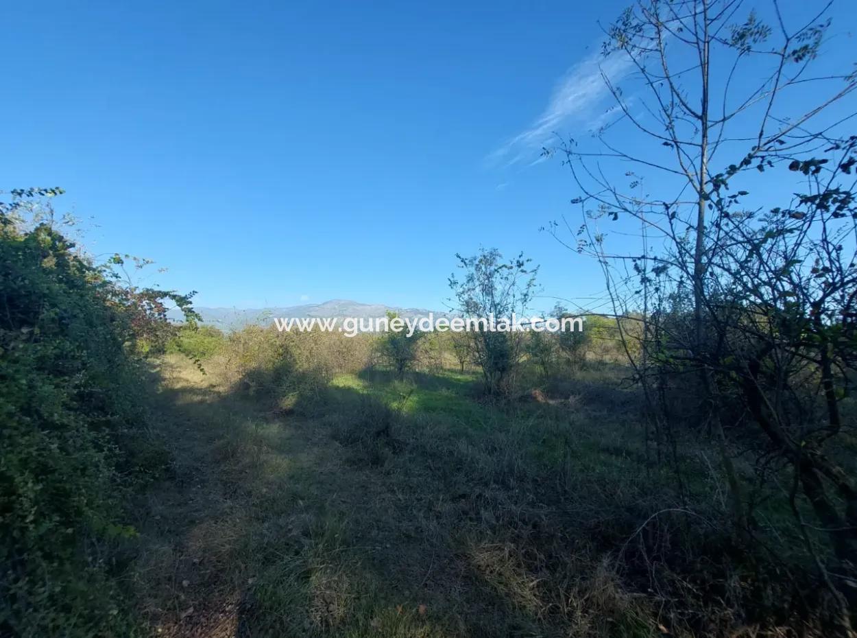 9 600 M2 Land Close To The Lake In Köyceğiz Toparlar Is For Sale