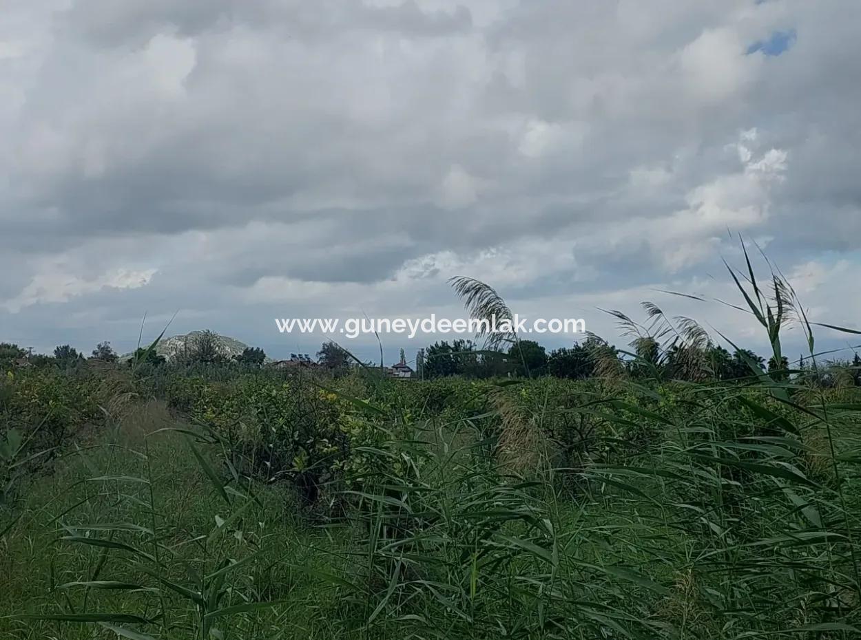 5.000 M2 Land With 150 M2 Construction Right Is For Sale In Muğla Dalyan