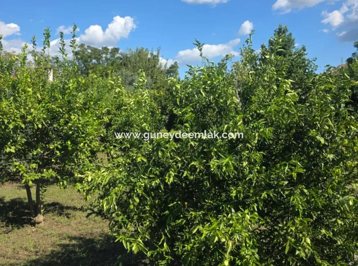 2 1, 70 M2 Village House For Sale On 902 M2 Land Zero To Ortaca Akıncı Sarıgerme Road