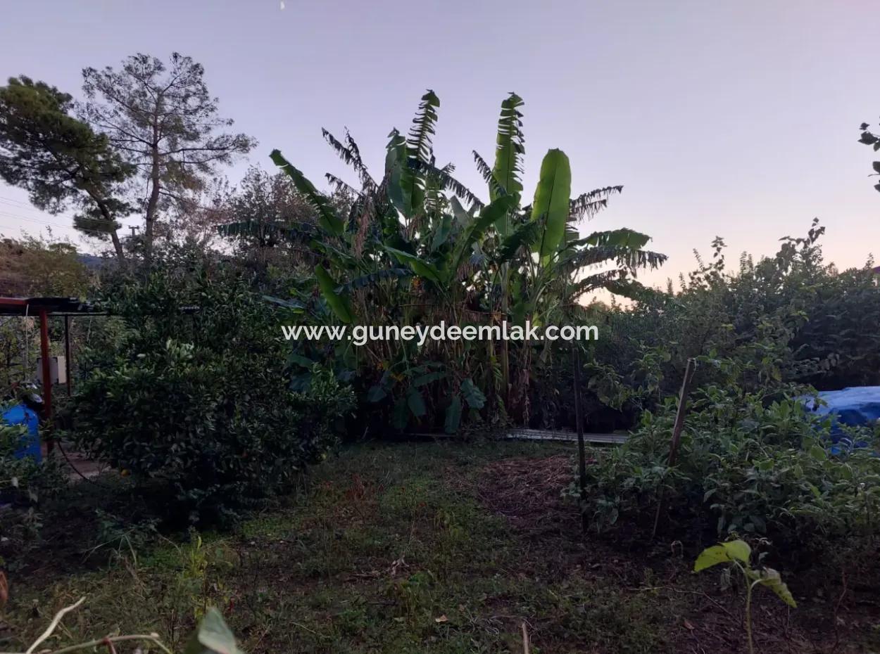 350 M2 Detached Tiny House Suitable Land For Sale In Ortaca Çaylı