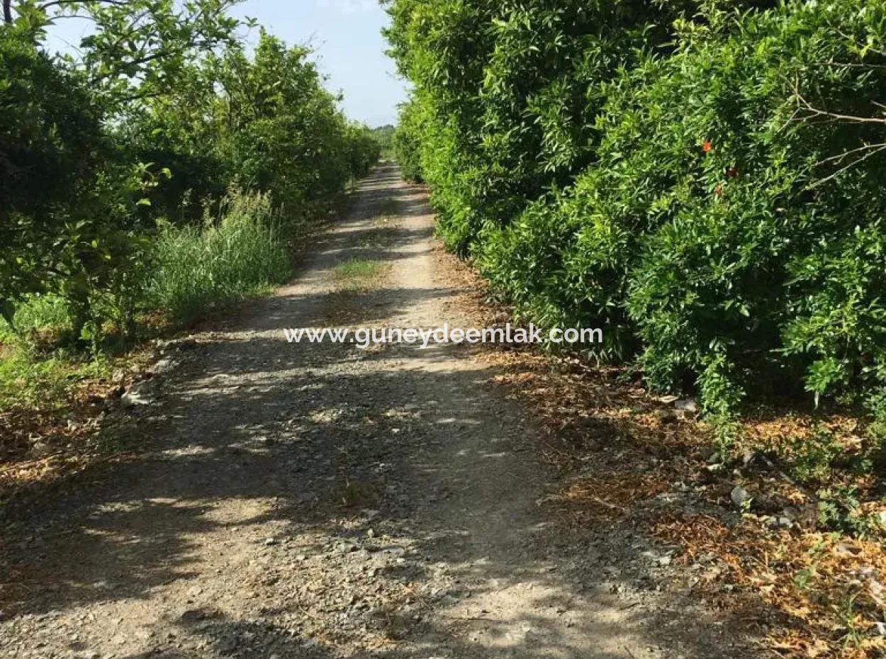 Muğla Ortaca Okçularda Unfurnished For Rent 2 1 Garden Village House