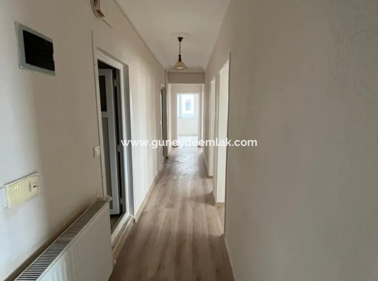 3 1 Flats For Rent In Ortaca Center