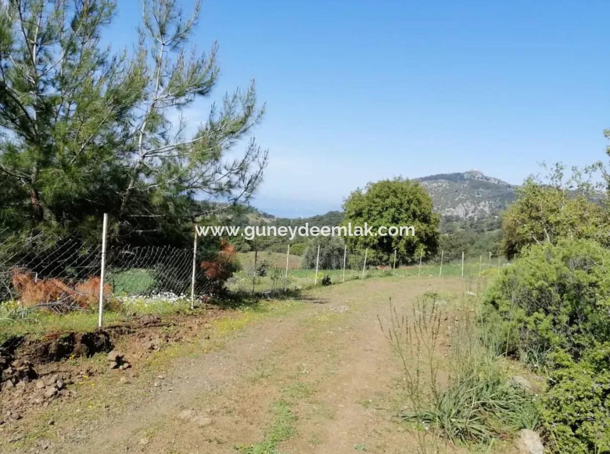 Muğla Ortaca Gökbelde 3200 M2 Shared Land For Sale
