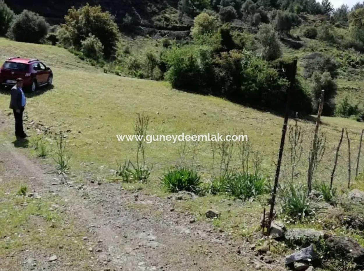 Muğla Ortaca Gökbelde 3200 M2 Shared Land For Sale