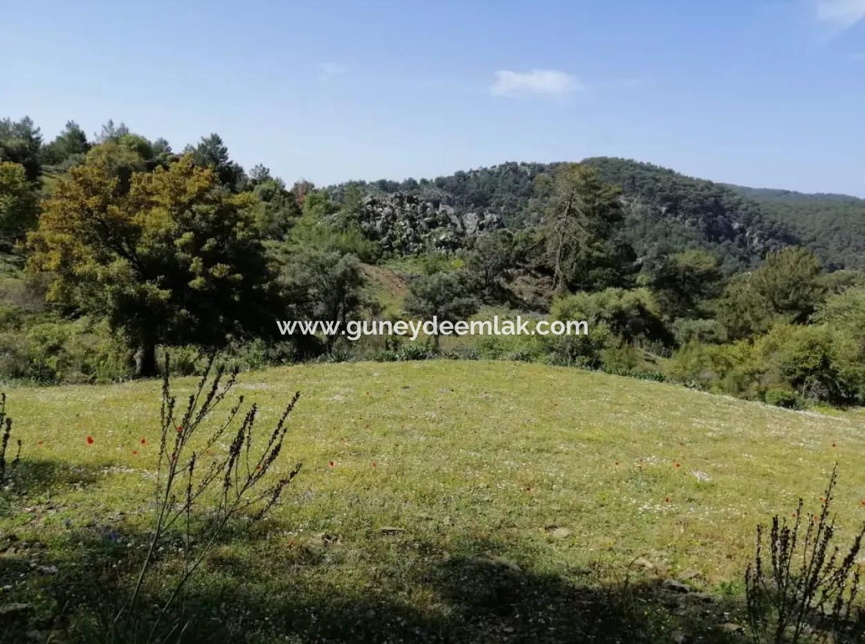 Muğla Ortaca Gökbelde 3200 M2 Shared Land For Sale
