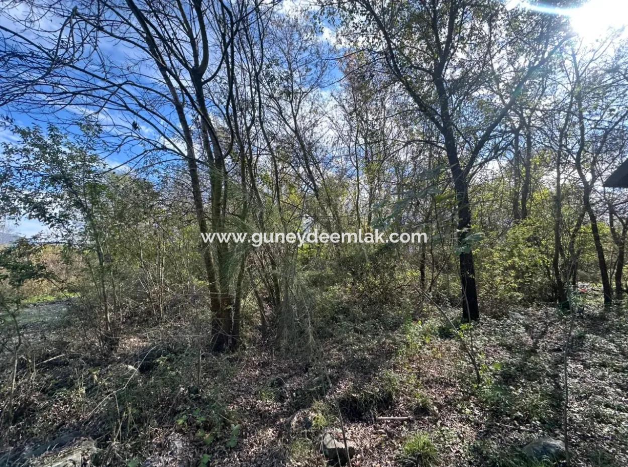 12 000 M2 Field For Sale In Ortaca Yeşilyurt