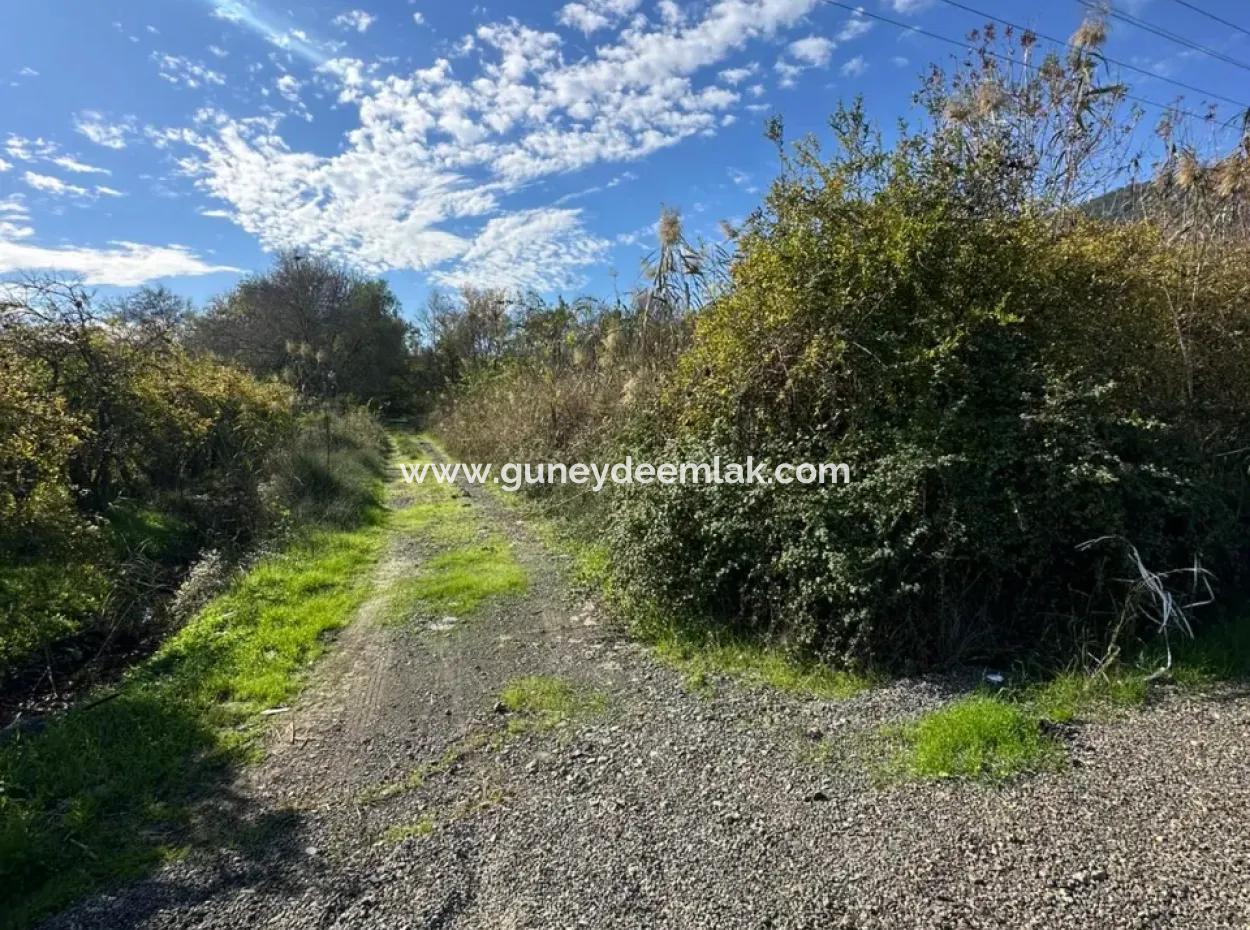 12 000 M2 Field For Sale In Ortaca Yeşilyurt