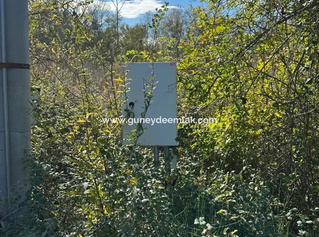 12 000 M2 Field For Sale In Ortaca Yeşilyurt