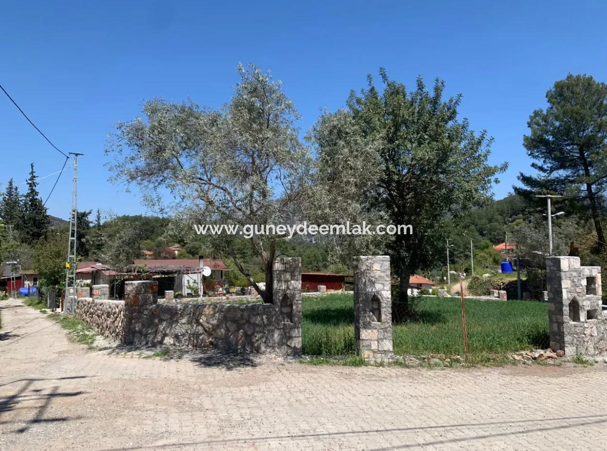 Dalyan Gökbelde 678 M2 Share For Sale