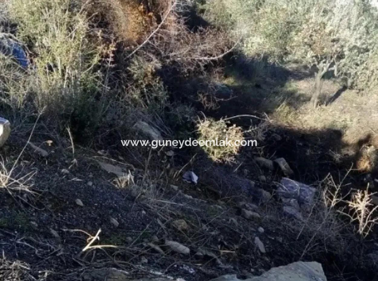Plot Of Land For Sale In Dalaman Honor