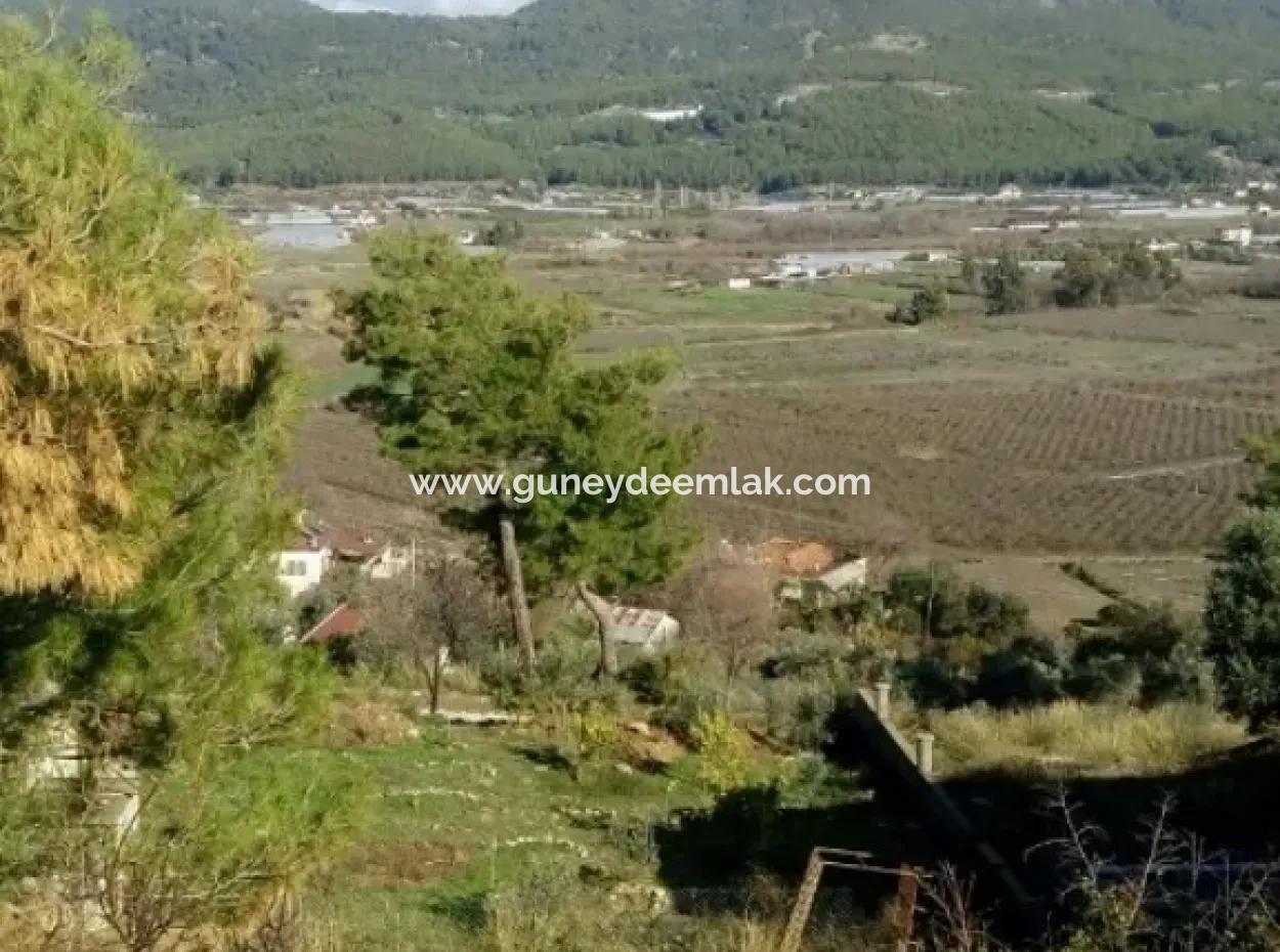 Plot Of Land For Sale In Dalaman Honor