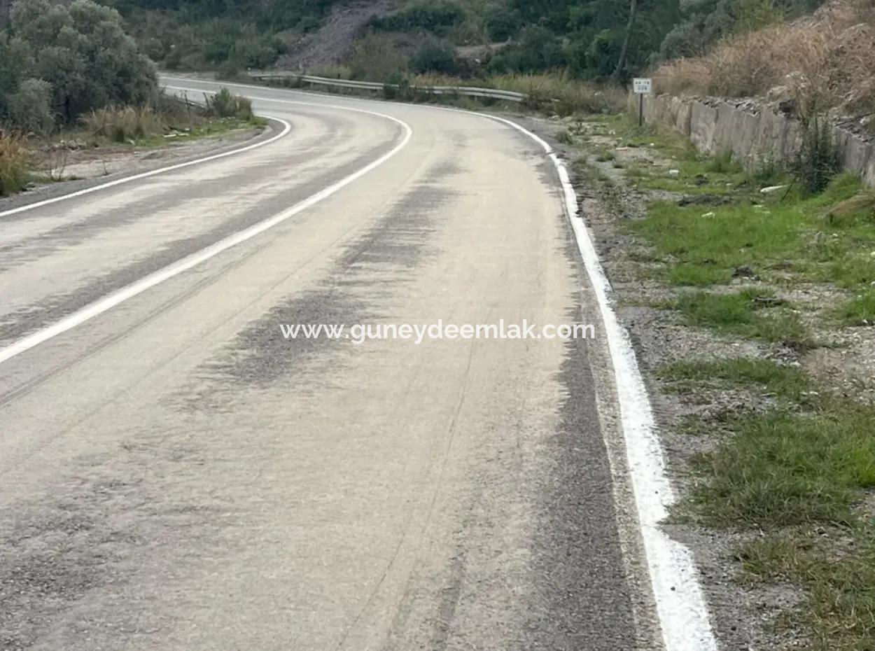 1.025 M2 Qualified Olive Grove Land In Muğla Milas Çakıralan Is For Sale