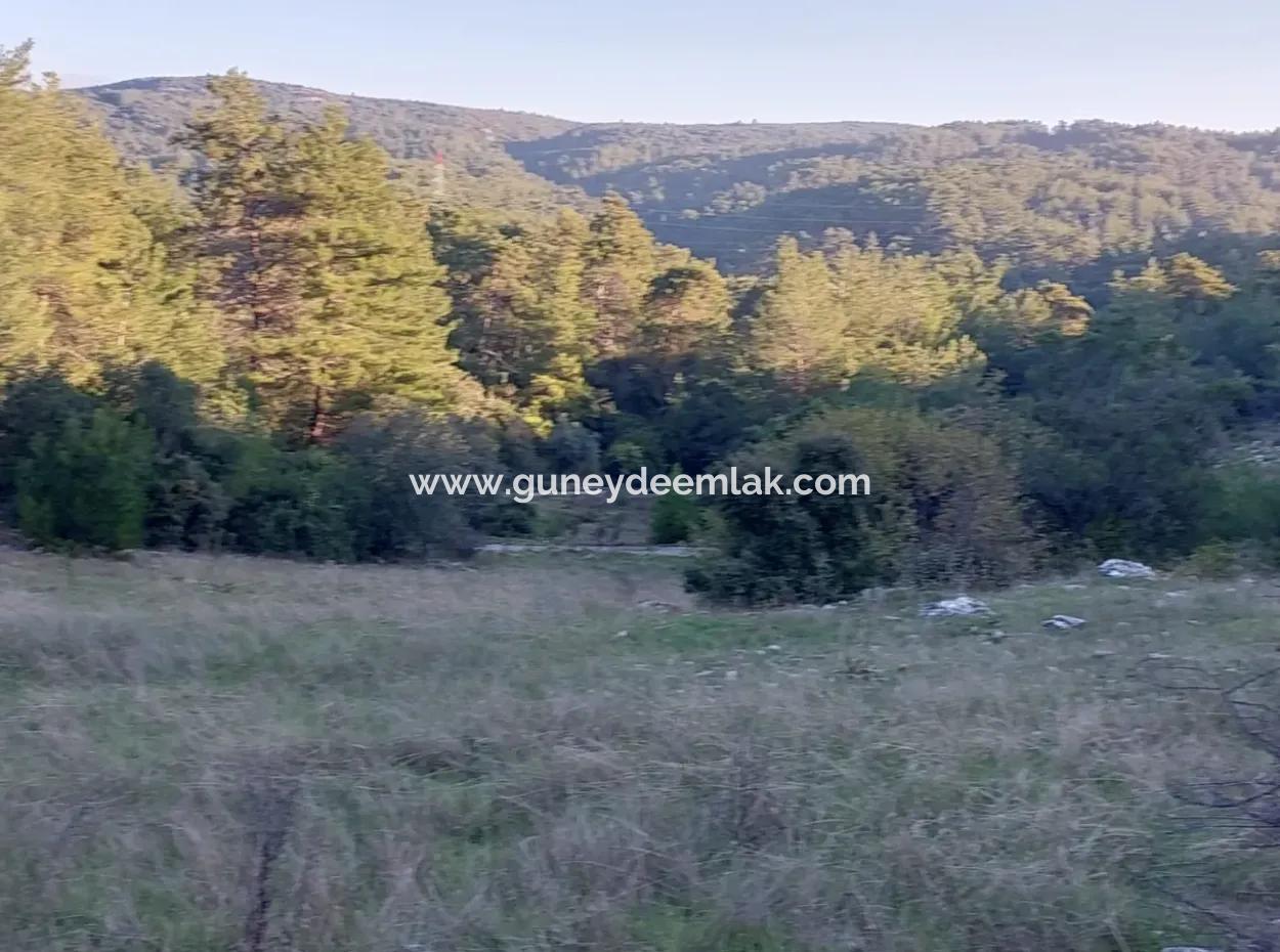 Muğla Ula Kızılyaka 790M2 Treasury Land Possession Right Will Be Transferred Or Vehicle Will Be Exchanged