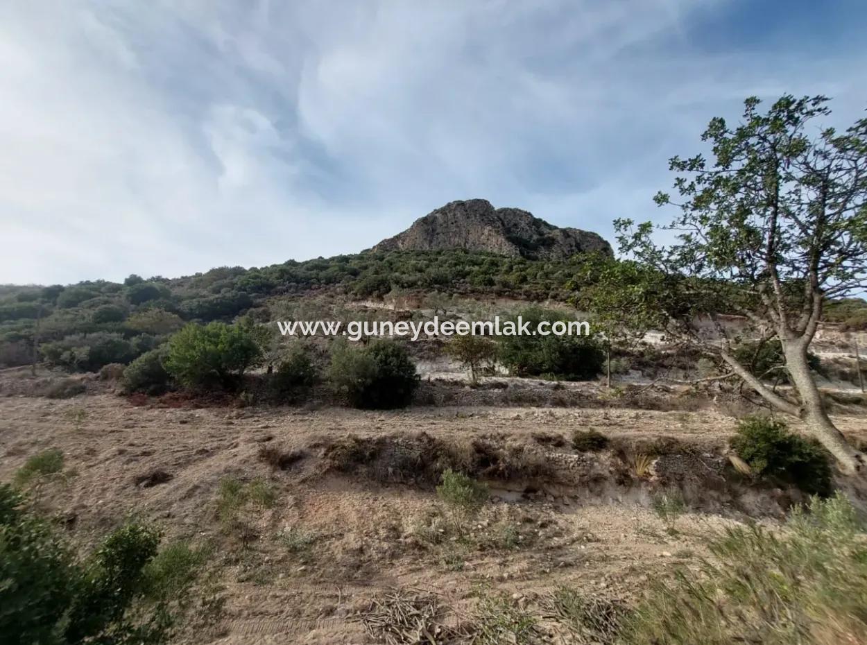 15 200 M2 Detached Land For Sale In Muğla Datça Yazi