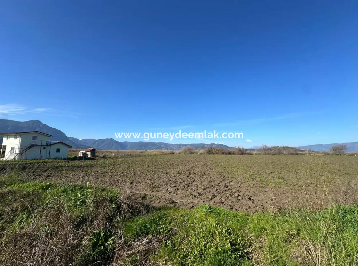 Field For Sale Close To Dalyan, Close To Köyceğiz Lake