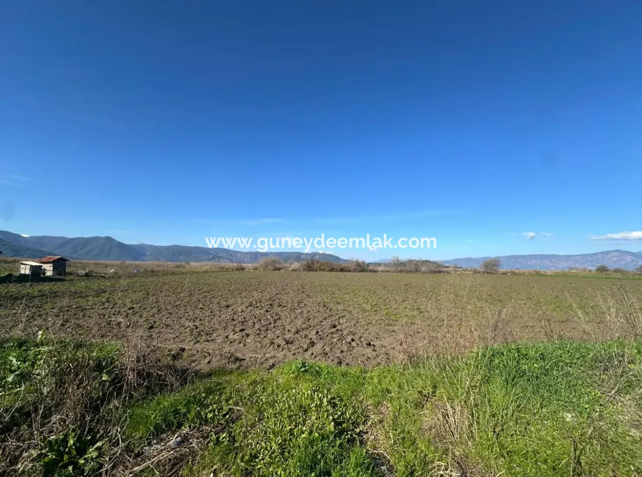 Field For Sale Close To Dalyan, Close To Köyceğiz Lake