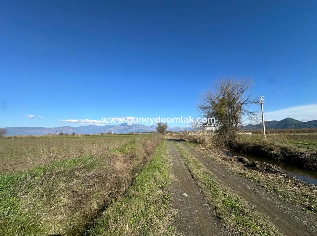 Field For Sale Close To Dalyan, Close To Köyceğiz Lake
