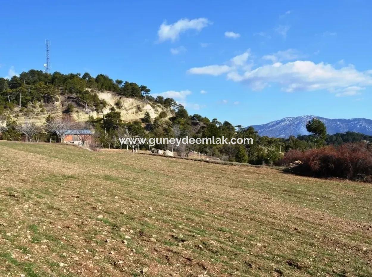 Stone House On St John's Island And Land For Sale Or Swap