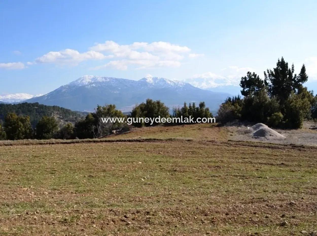 Stone House On St John's Island And Land For Sale Or Swap