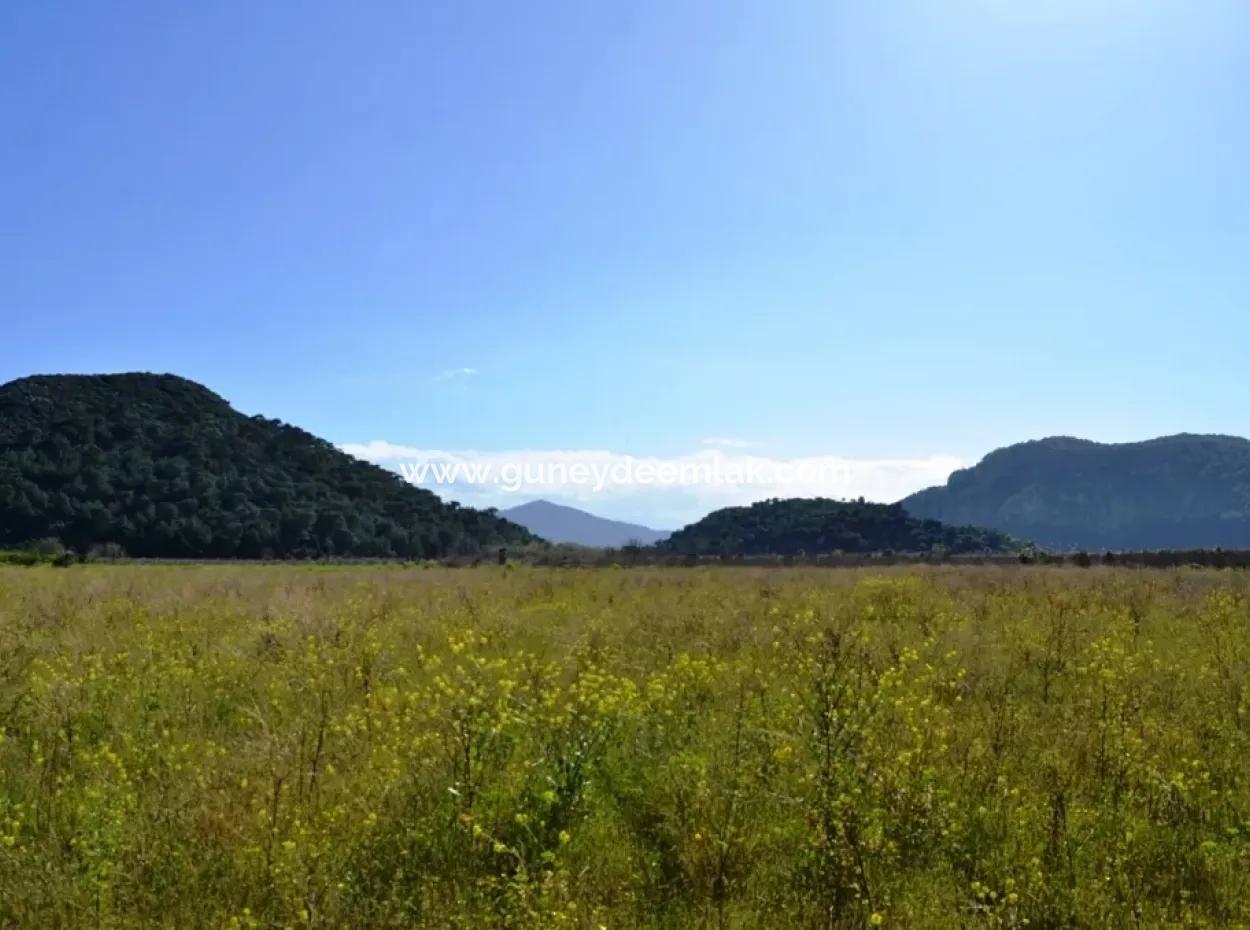 Farm For Sale Bargain In Dalyan