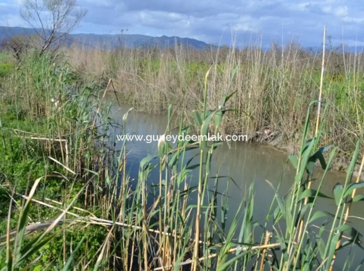 Farm For Sale Bargain In Dalyan