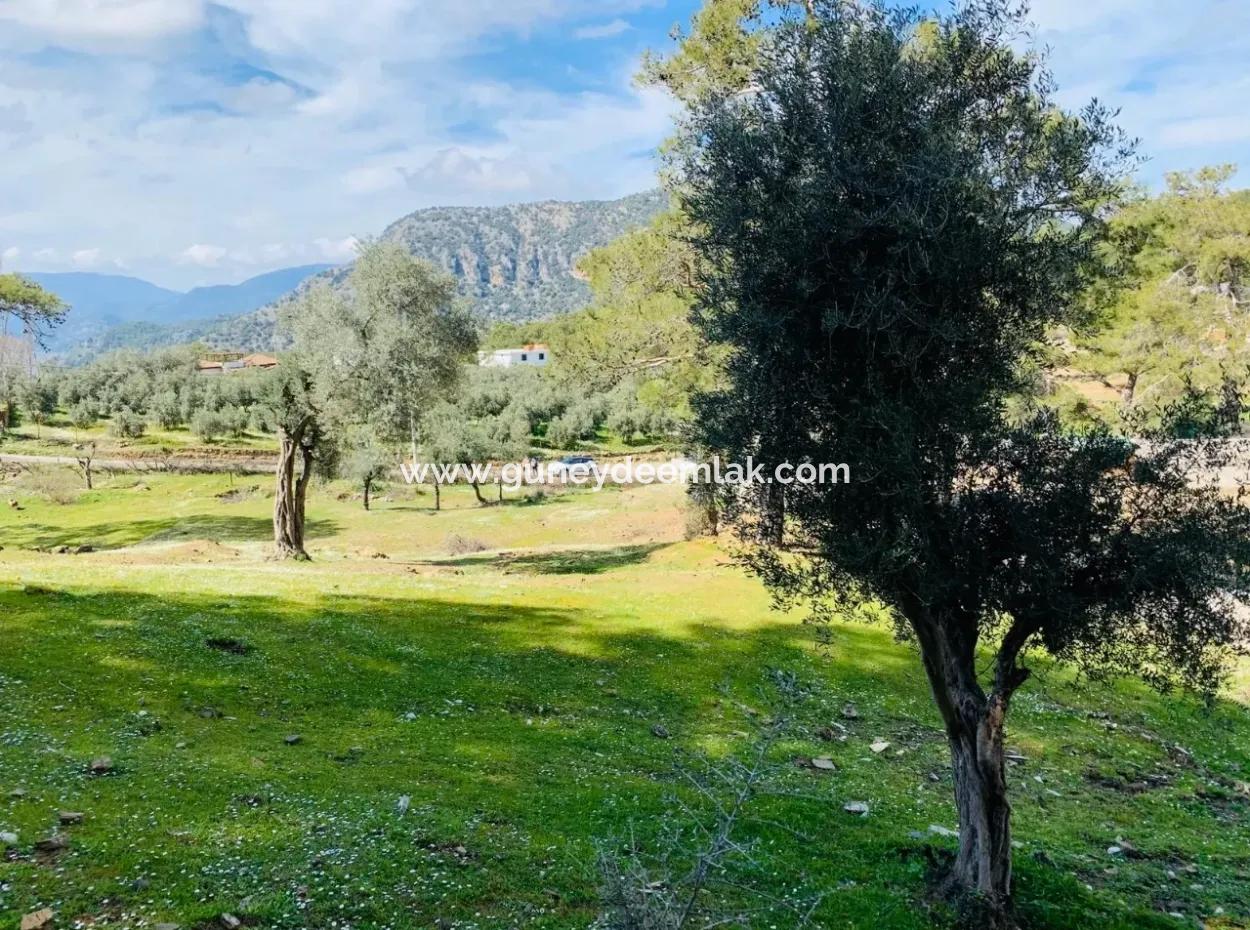 Detached Field For Sale In Ortaca Gökbel