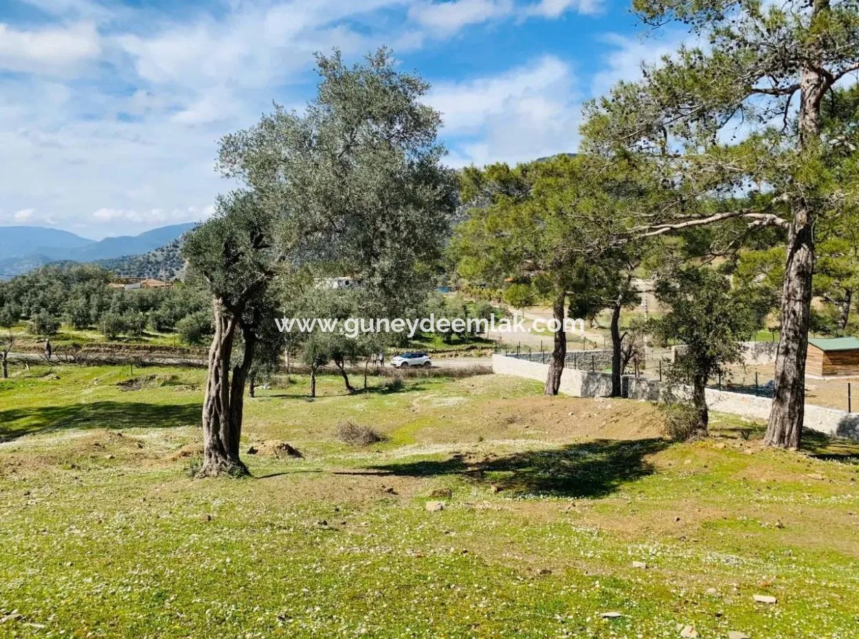 Detached Field For Sale In Ortaca Gökbel