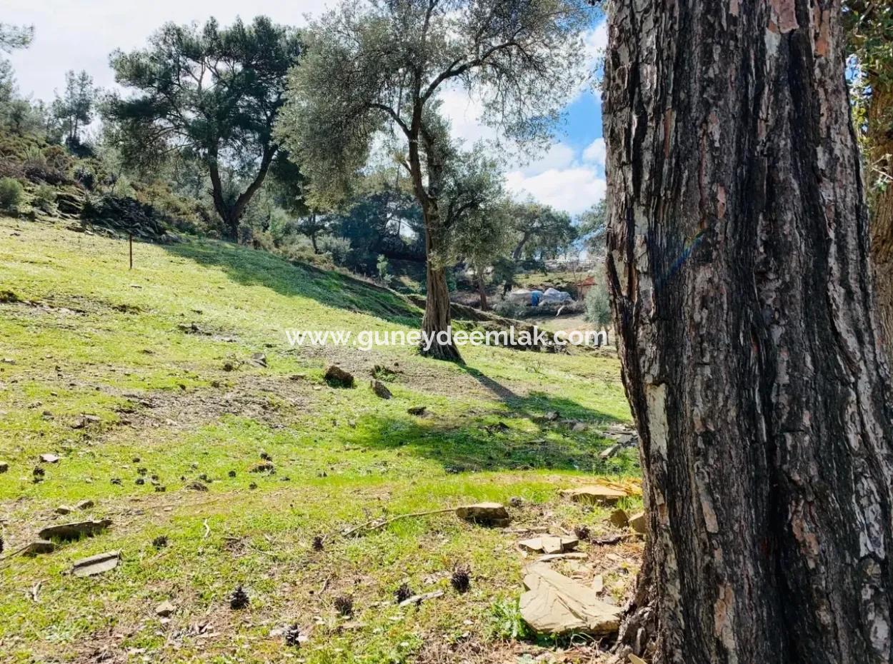 Detached Field For Sale In Ortaca Gökbel