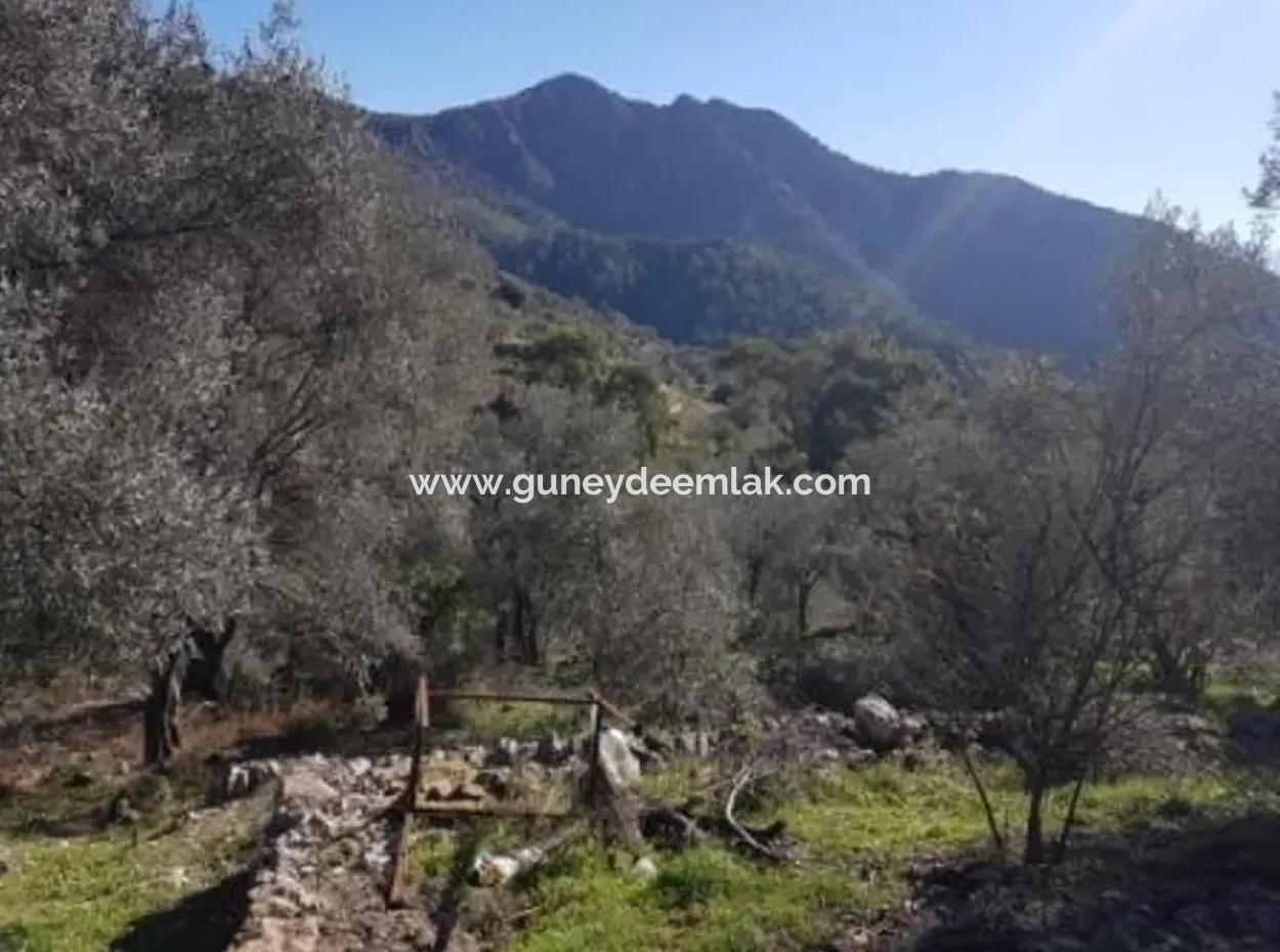 Sea View Land For Sale In Göcek Gökçeovacık