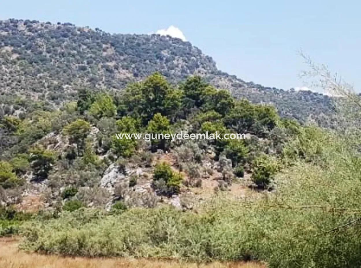Sea View Land For Sale In Mugla Dalaman Kapıkargın