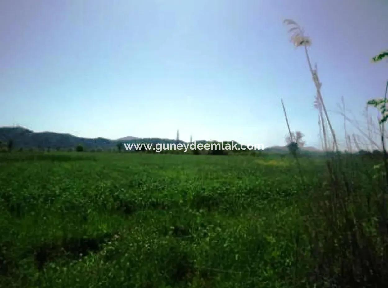 Oriya Raider Fertile Land For Sale 30 000 M2
