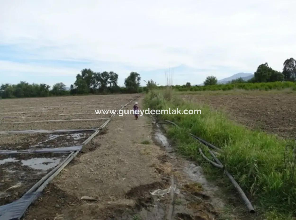 Also Suitable For Investment 31,175 M2 Land For Sale In Koycegiz Up