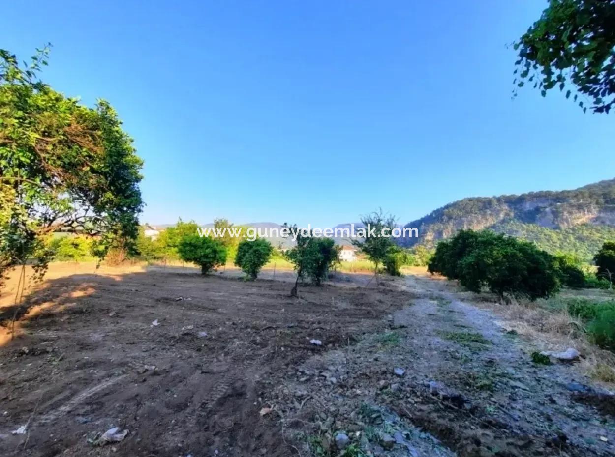 Archers Land For Sale With Title Deeds