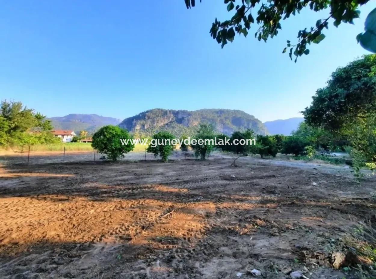 Archers Land For Sale With Title Deeds