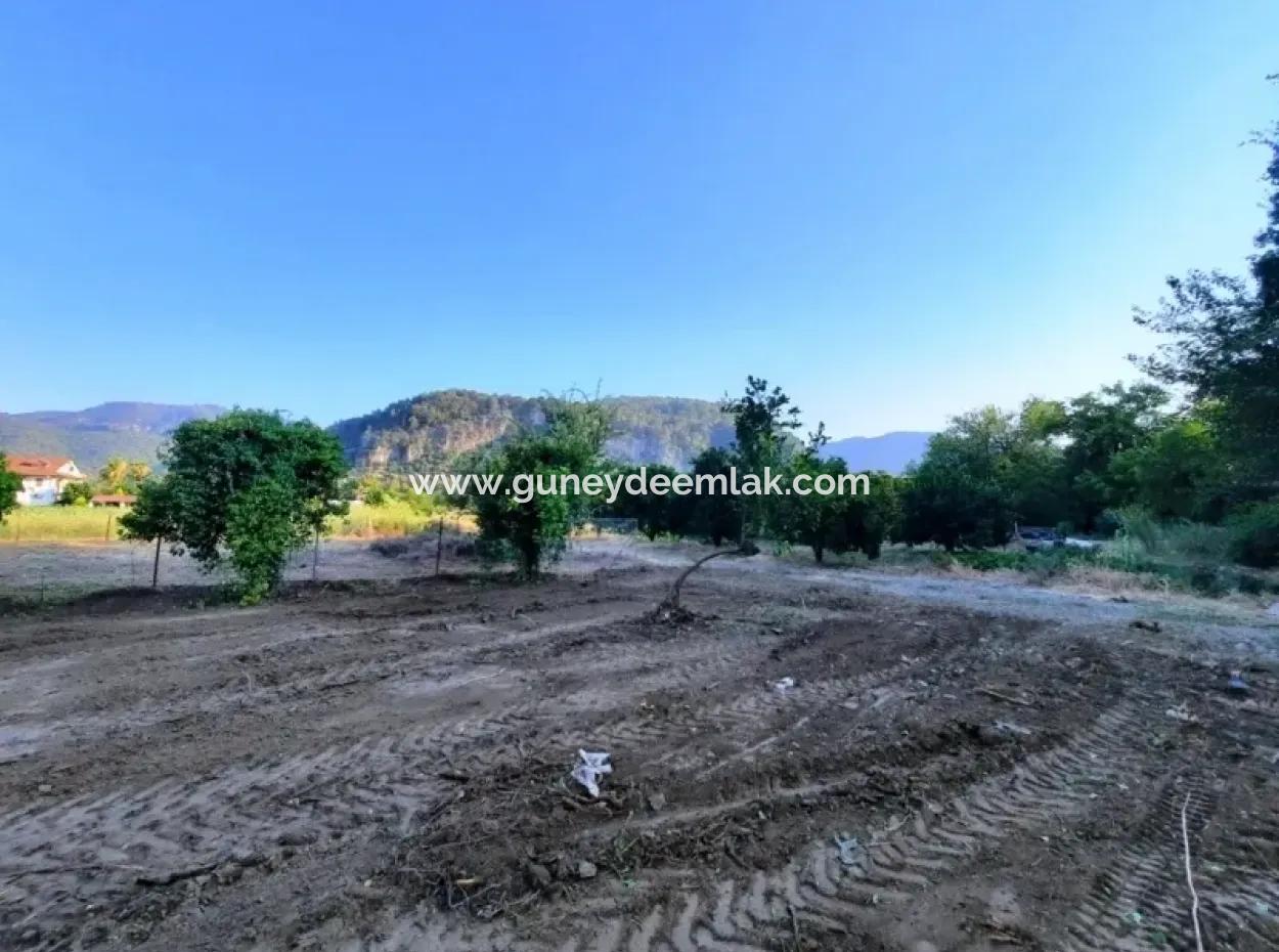 Archers Land For Sale With Title Deeds