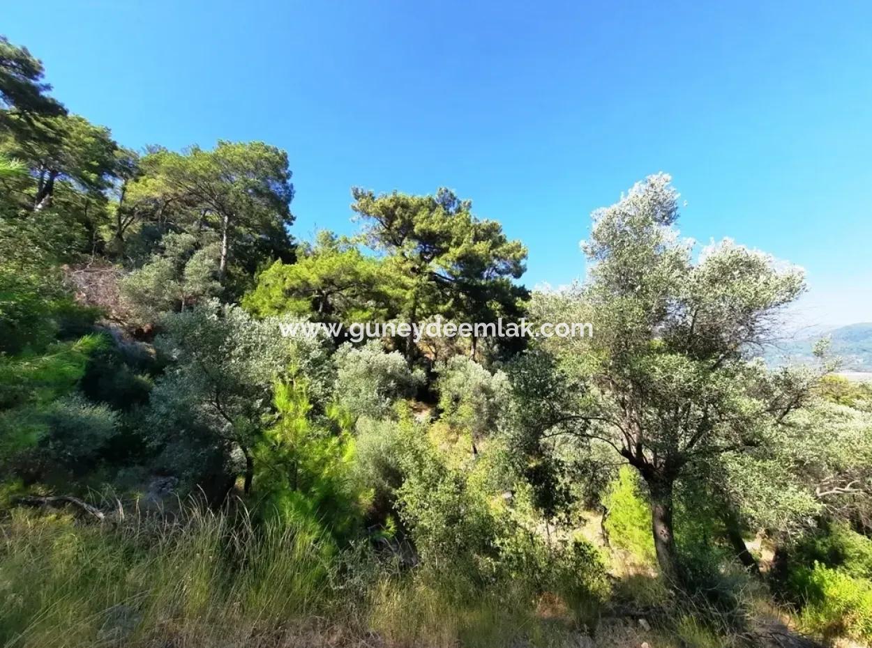 400 M2 Plot For Sale Bargain Ortaca Sarıgerme