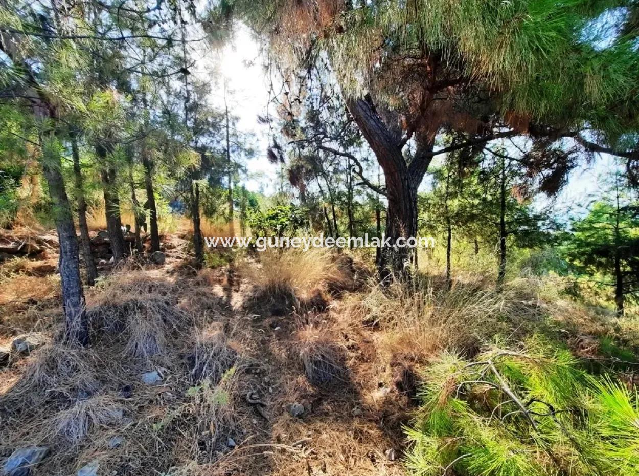 Plot Of Land With Sea Views For Sale In Fethiye Ciftlikkoy
