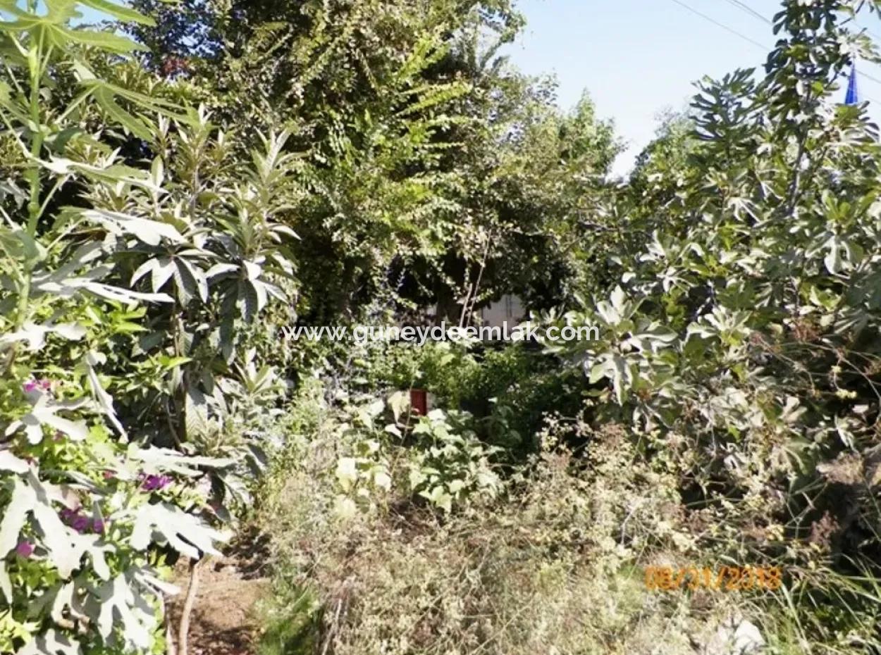 Village House And Land For Sale In Ortaca Dikmekavak Ta Zero On The Road