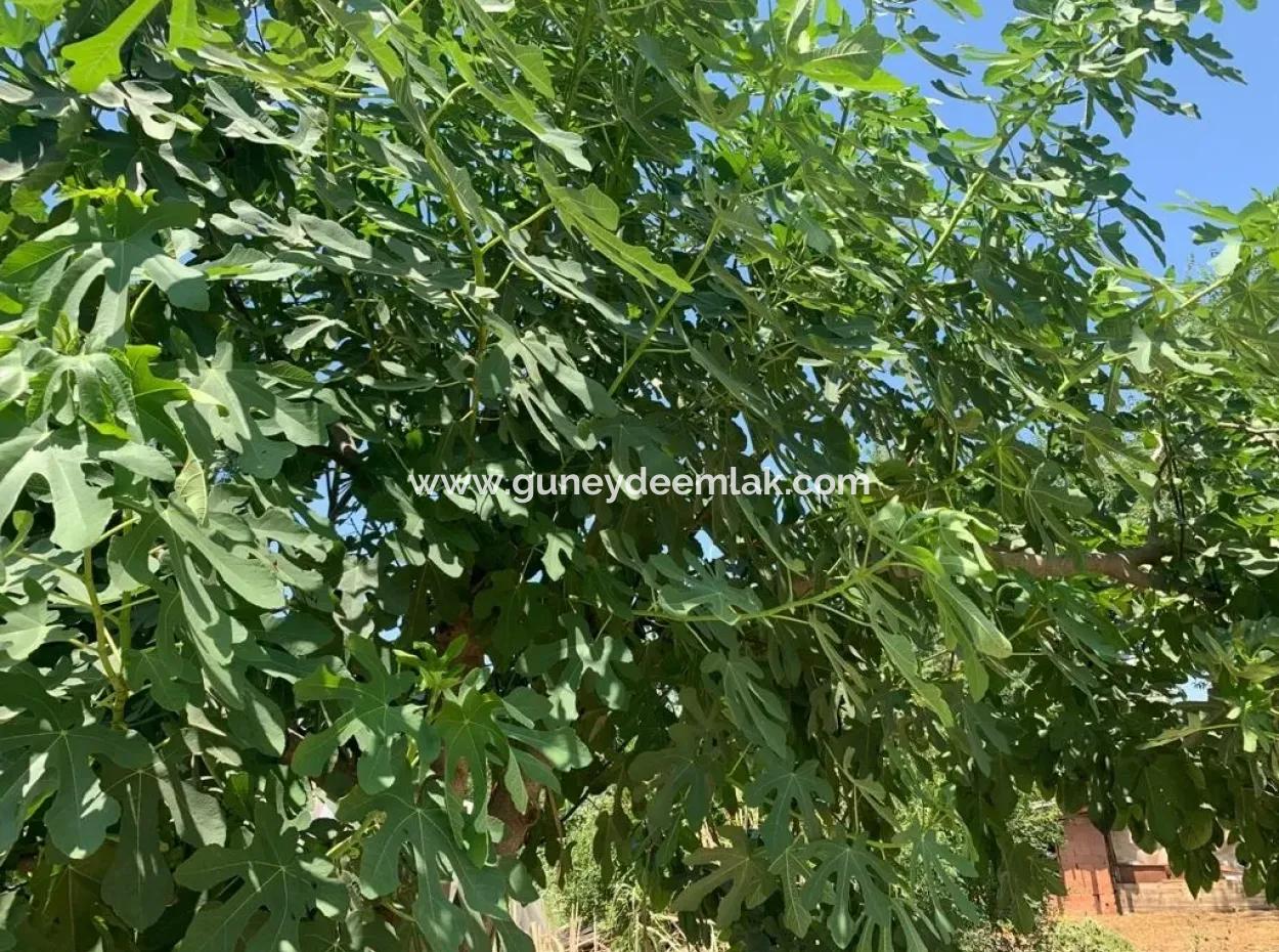 Bargain 450 M2 Plot For Sale In Archer