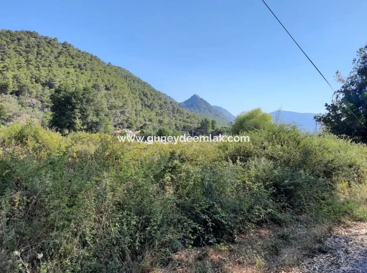 Vineyard Garden Zoning Land For Sale In Gocek Inlice