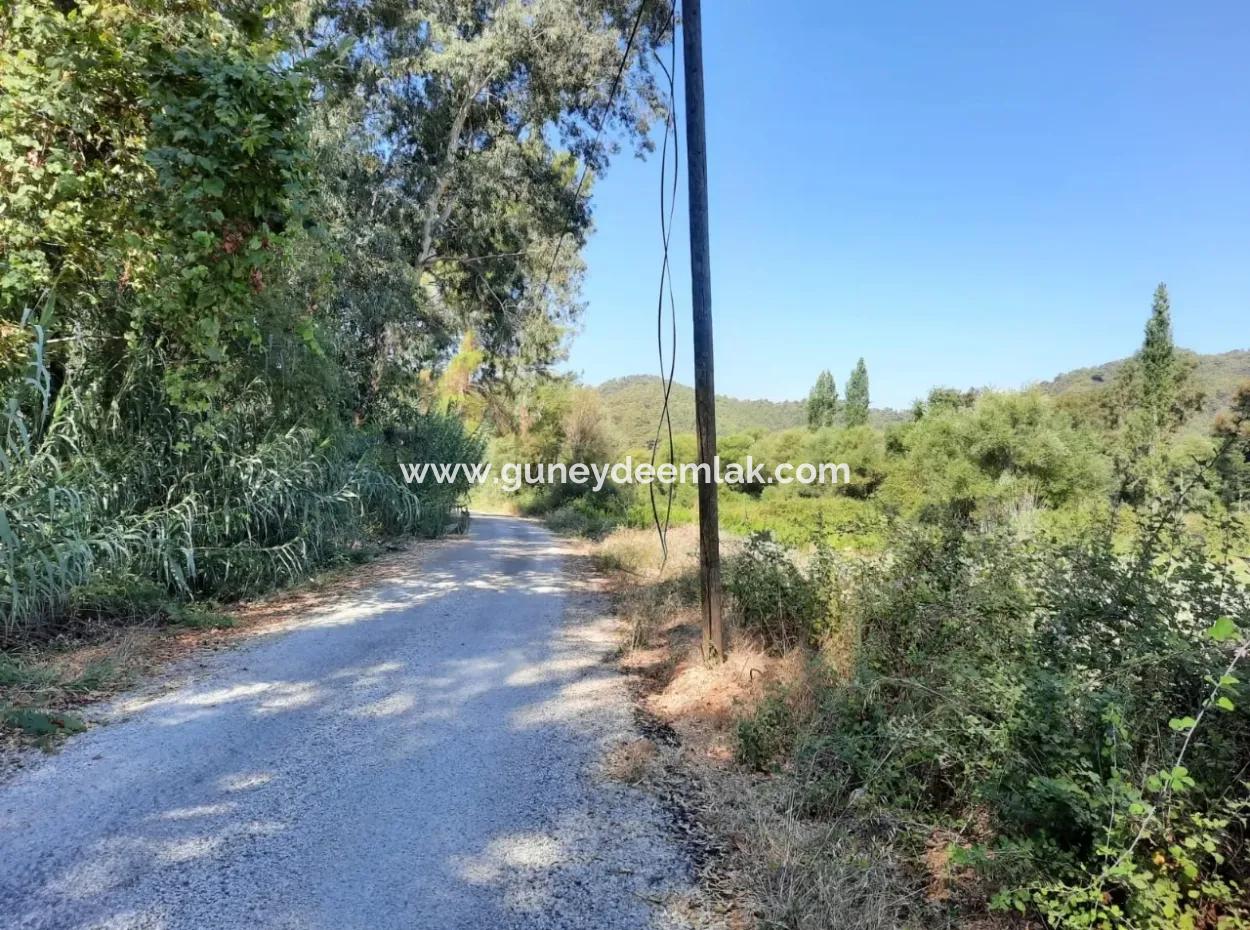 Vineyard Garden Zoning Land For Sale In Gocek Inlice