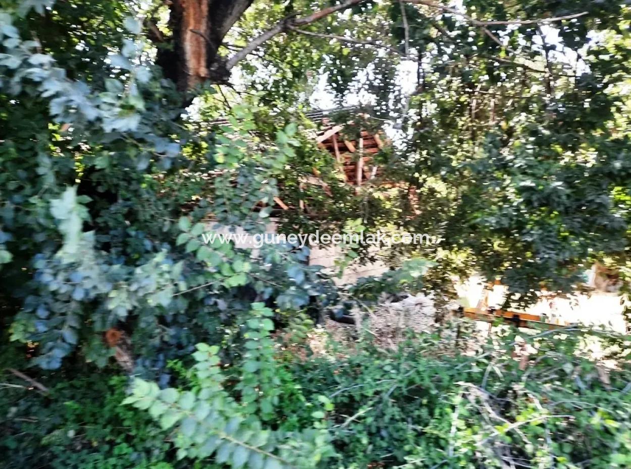 Zero Land For Sale On Ortaca Dyed